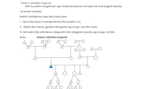 Sistemi i shkallëve të gjinisë
Edhe ky sistem e ka gjenezën nga e Drejta Romake por më tepër më vonë ka gjetë shprehje
në vendet socialiste.
Radhët trashëgimore sipas këtij sistemi janë:
I – Djemt dhe vajzat e trashëgimlënësit dhe prindërit e tij
II – Nipërit dhe mbesat, gjyshërit dhe gjyshet nga trungu i atit dhe i ëmës.
III- Stërnipërit dhe stërmbesat, stërgjyshërit dhe stërgjyshet poashtu nga trungu i atit dhe
ëmës. Sistemi i shkallëve të gjinisë
III
 