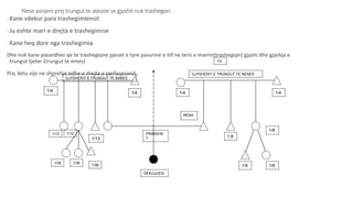 Nese asnjeni prej trungut te atesise se gjyshit nuk trashegon:
-Kane vdekur para trashegimlensit
-Ju eshte marr e drejta e trashegimise
-Kane heq dore nga trashegimia
Dhe nuk kane pasardhes qe te trashegojne pjeset e tyre pasurine e till ne tersi e marrin(trashegojn) gjyshi dhe gjyshja e
trungut tjeter (trungut te emes)
Pra, ketu vije ne shprehje edhe e drejta e perfaqesimit.
GJYSHERIT E TRUNGUT TE BABES
1/4 1/4
1/12
1/121/12
1/36 1/36
1/36
PRINDERI
T
NENA
1.8
1/4
GJYSHERIT E TRUNGUT TE NENES
1/4
1/2
1/8
1/6 1/6
DEKUJUESI
 