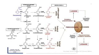 Sonia Singh, Assistant Professor, GLA University, Mathura
11
 