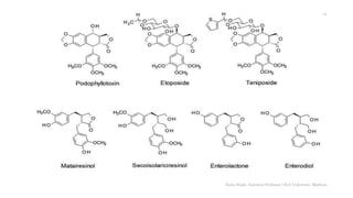 Sonia Singh, Assistant Professor, GLA University, Mathura
14
 