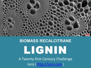 LIGNIN
A Twenty-first Century Challenge
Isroi (http://isroi.com)
BIOMASS RECALCITRANE
 