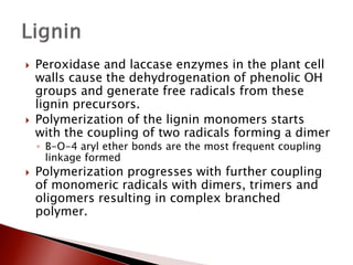    Peroxidase and laccase enzymes in the plant cell
    walls cause the dehydrogenation of phenolic OH
    groups and generate free radicals from these
    lignin precursors.
   Polymerization of the lignin monomers starts
    with the coupling of two radicals forming a dimer
    ◦ Β-O-4 aryl ether bonds are the most frequent coupling
      linkage formed
   Polymerization progresses with further coupling
    of monomeric radicals with dimers, trimers and
    oligomers resulting in complex branched
    polymer.
 