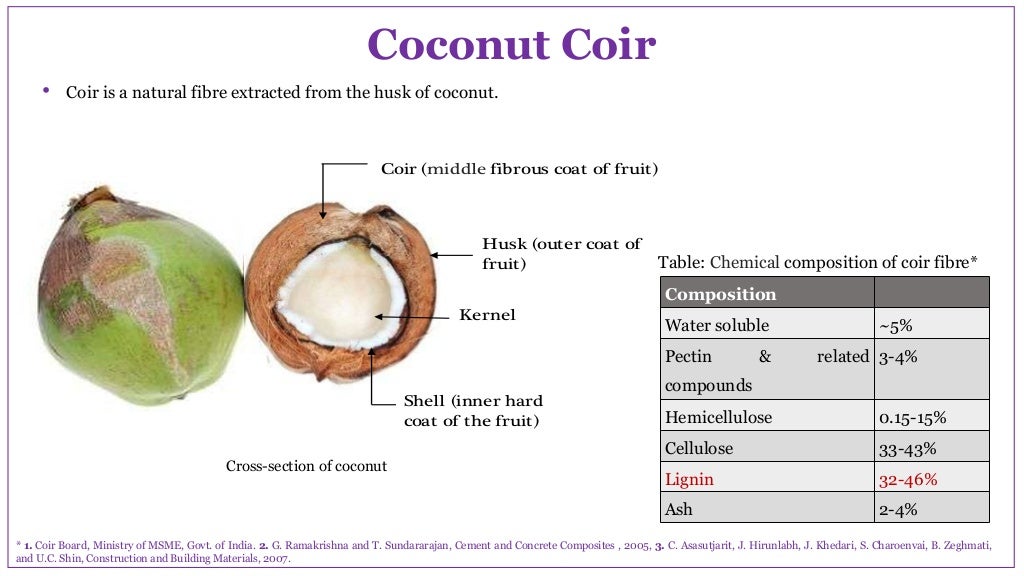 Lignin isolation from coconut coir, characterization and depolymeriza…