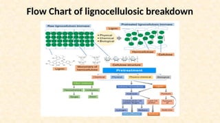 Flow Chart of lignocellulosic breakdown
 