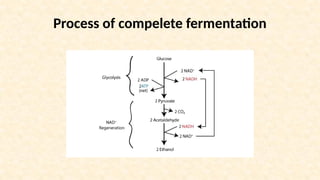 Process of compelete fermentation
 