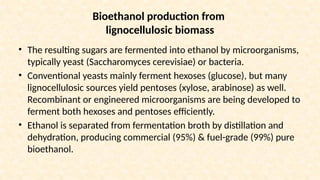 Bioethanol production from
lignocellulosic biomass
• The resulting sugars are fermented into ethanol by microorganisms,
typically yeast (Saccharomyces cerevisiae) or bacteria.
• Conventional yeasts mainly ferment hexoses (glucose), but many
lignocellulosic sources yield pentoses (xylose, arabinose) as well.
Recombinant or engineered microorganisms are being developed to
ferment both hexoses and pentoses efficiently.
• Ethanol is separated from fermentation broth by distillation and
dehydration, producing commercial (95%) & fuel-grade (99%) pure
bioethanol.
 