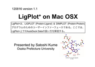 120816 version 1.1

     LigPlot +            on Mac OSX
LigPlot+は、LIGPLOT (Protein-Ligand) & DIMPLOT (Protein-Protein)
プログラムのためのユーザーインファーフェースである。ここでは、
LigPlot+上でのAutoDock Dataの扱い方を解説する。




  Presented by Satoshi Kume
    Osaka Prefecture University
 