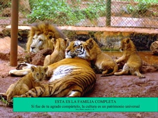 ESTA ES LA FAMILIA COMPLETA
Si fue de tu agrado compártelo, la cultura es un patrimonio universal
                           “Ave Fênix 290761 Z∴B∴”
 