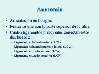 Anatomía Articulación en bisagra. Femur se une con la parte superior de la tibia.  Cuatro ligamentos principales conectan estos dos huesos: Ligamento colateral medial (LCM). Ligamento colateral interno o lateral (LCL). Ligamento cruzado anterior (LCA). Ligamento cruzado posterior (LCP). 