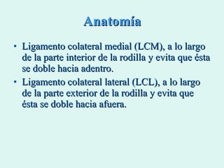 Anatomía Ligamento colateral medial (LCM), a lo largo de la parte interior de la rodilla y evita que ésta se doble hacia adentro.  Ligamento colateral lateral (LCL), a lo largo de la parte exterior de la rodilla y evita que ésta se doble hacia afuera. 