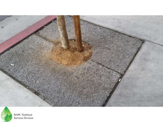 BAPC Technical
Services Division
 