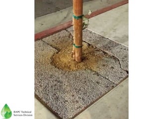 BAPC Technical
Services Division
 