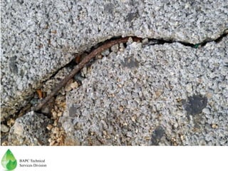 BAPC Technical
Services Division
 