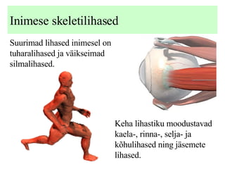 Lihased Ppt Free Download