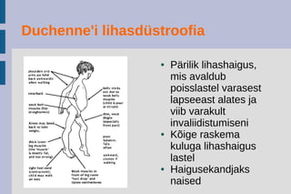 Lihaste ülesanded
● Liikumisfunktsioon
● Aktiivne osalemine
ainevahetuses
● Energia talletamine
● Kehatemperatuuri
säilitamine
● Kehakuju andmine
 