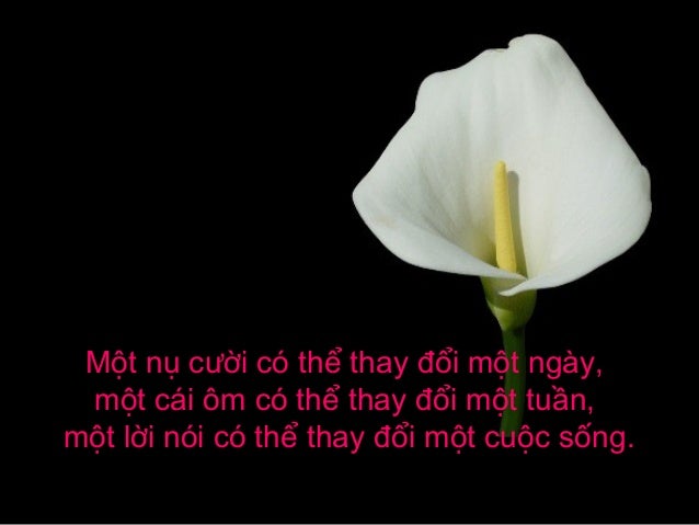 https://image.slidesharecdn.com/lihaypitltp-151115031351-lva1-app6891/95/li-hay-p-tran-le-tuy-phuong-5-638.jpg?cb=1447557292
