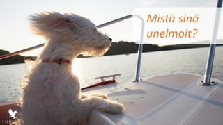 Mistä sinä
unelmoit?
 
