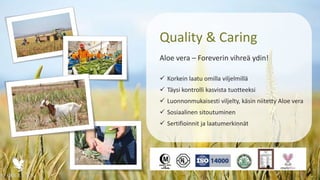 Quality & Caring
Aloe vera – Foreverin vihreä ydin!
 Korkein laatu omilla viljelmillä
 Täysi kontrolli kasvista tuotteeksi
 Luonnonmukaisesti viljelty, käsin niitetty Aloe vera
 Sosiaalinen sitoutuminen
 Sertifioinnit ja laatumerkinnät
 