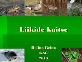 Liikide kaitseLiikide kaitse
Helina ReinoHelina Reino
GAGGAG
20152015
 