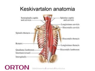 Keskivartalon anatomia

lääkäriasema Ι sairaala Ι kuntoutus

 