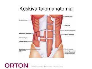 Keskivartalon anatomia

lääkäriasema Ι sairaala Ι kuntoutus

 