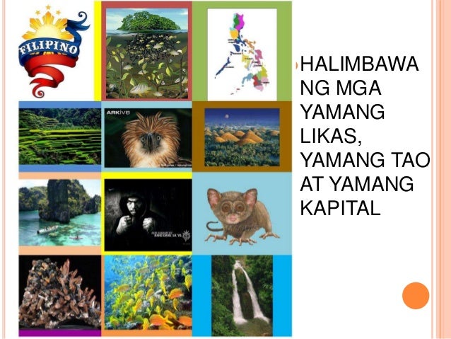 Likas na yaman