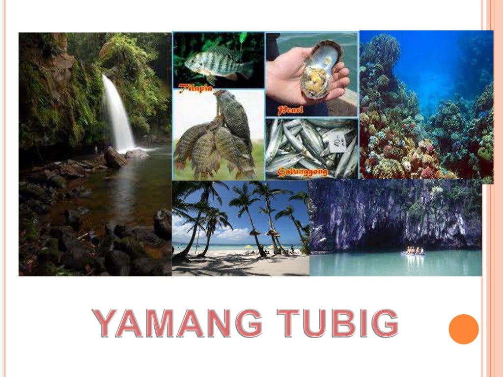 Mga Likas Na Yaman Mula Sa Tubig - kulturaupice