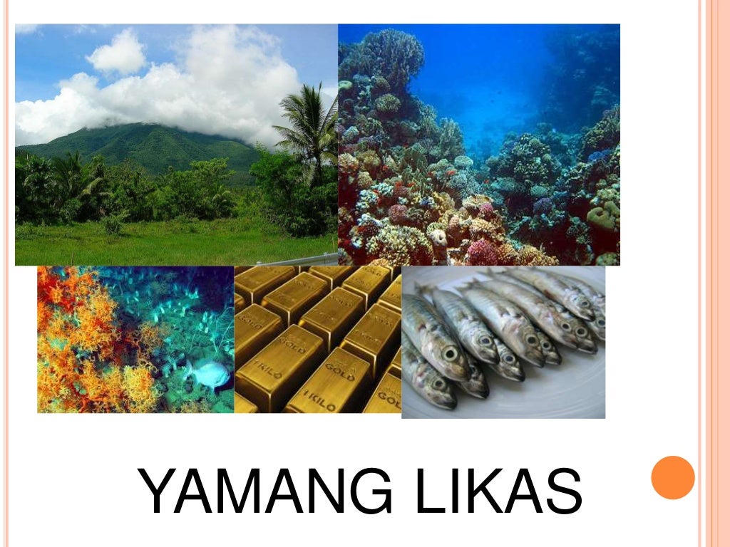 Likas na yaman