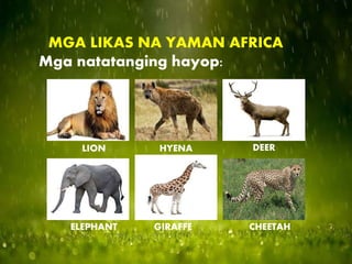 MGA LIKAS NA YAMAN AFRICA
Mga natatanging hayop:
LION HYENA DEER
ELEPHANT GIRAFFE CHEETAH
 
