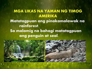 MGA LIKAS NA YAMAN NG TIMOG
AMERIKA
Matatagpuan ang pinakamalawak na
rainforest.
Sa malamig na bahagi matatagpuan
ang penguin at seal.
 