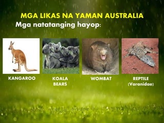 MGA LIKAS NA YAMAN AUSTRALIA
Mga natatanging hayop:
KANGAROO KOALA
BEARS
WOMBAT REPTILE
(Varanidae)
 