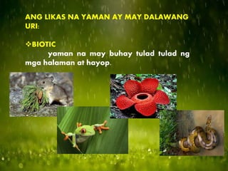 ANG LIKAS NA YAMAN AY MAY DALAWANG
URI:
BIOTIC
yaman na may buhay tulad tulad ng
mga halaman at hayop.
 