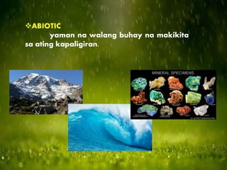 ABIOTIC
yaman na walang buhay na makikita
sa ating kapaligiran.
 