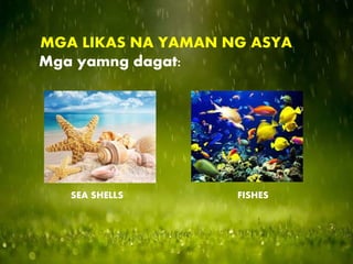 MGA LIKAS NA YAMAN NG ASYA
Mga yamng dagat:
SEA SHELLS FISHES
 