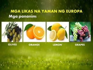 MGA LIKAS NA YAMAN NG EUROPA
Mga pananim:
OLIVES ORANGE LEMON GRAPES
 