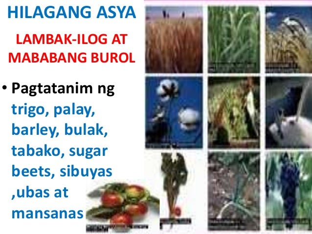 Ano Ang Pangunahing Yamang Mineral Ang Matatagpuan Sa Hilagang Asya
