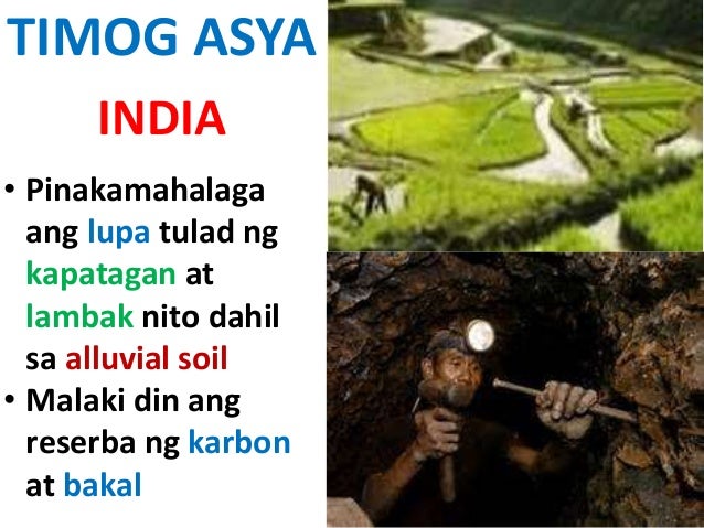Likas Na Yaman Sa India Bakit Ang Lupa Ang Pinakamahalagang Likas Na Yaman Sa India