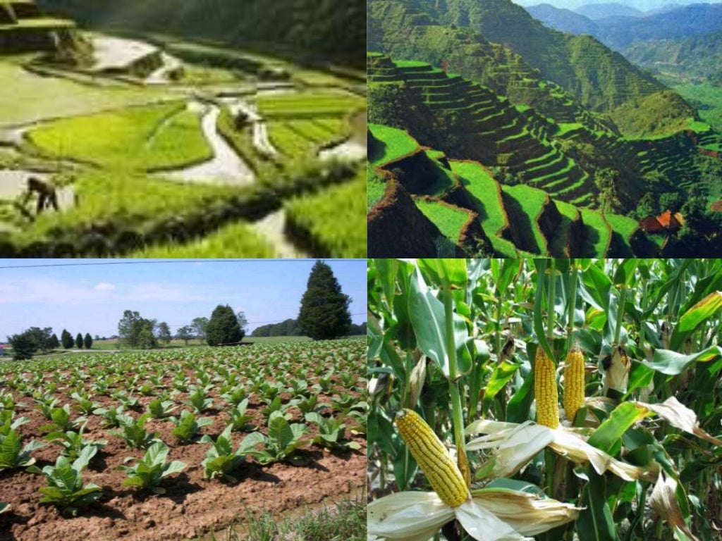 Likas na yaman ng pilipinas