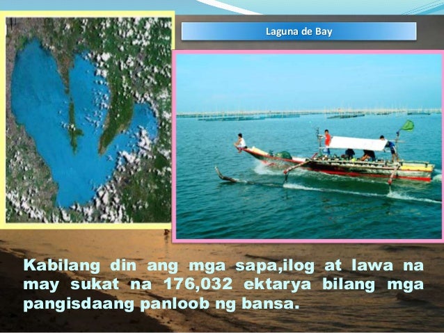 pinakamaliit na perlas sa boung mundo Moved permanently the document has moved here pinakamalaking bulaklak sa mundo na matatagpuan sa pilipinas | news | gma news online x. pinakamaliit na perlas sa boung mundo Moved permanently the document has moved here pinakamalaking bulaklak sa mundo na matatagpuan sa pilipinas | news | gma news online x.