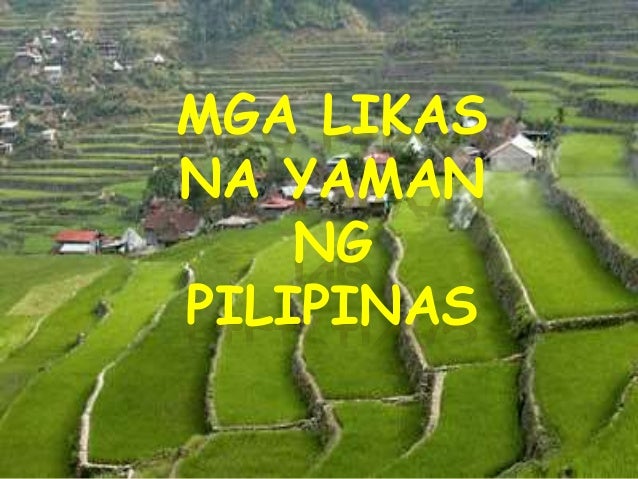 Mga Bagay Na Nagpapahalaga Sa Likas Na Yaman - bagay tulala