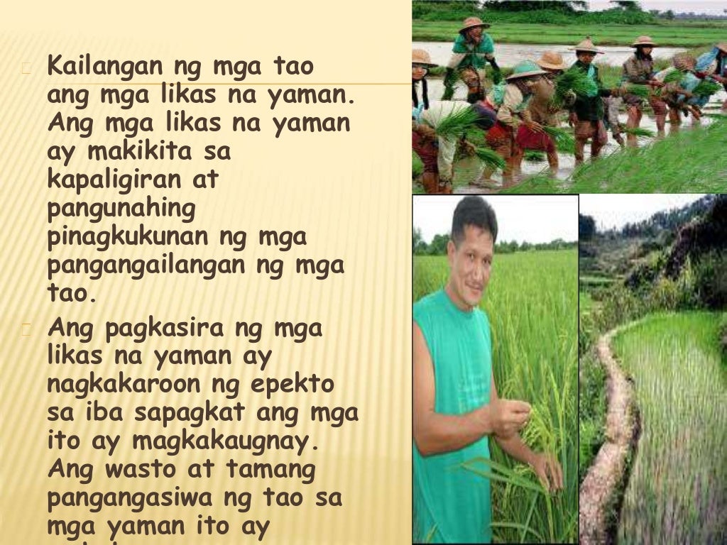 Likas na yaman ng pilipinas