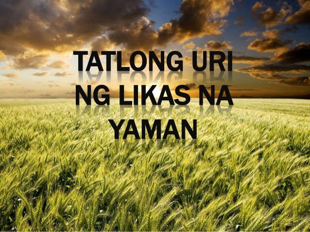 Pangunahing Likas Na Yaman Ng Pilipinas - Mobile Legends