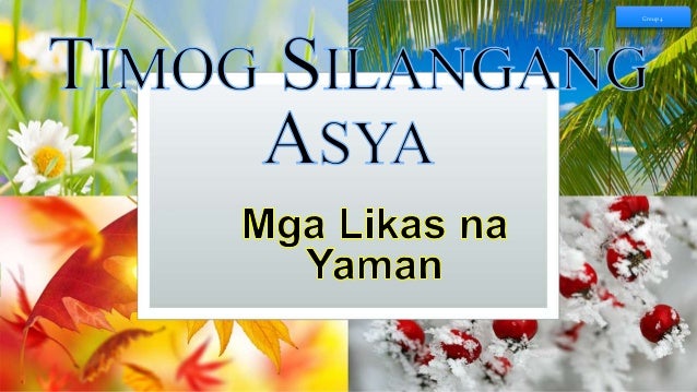 Likas na Yaman ng Timog Silangang Asya