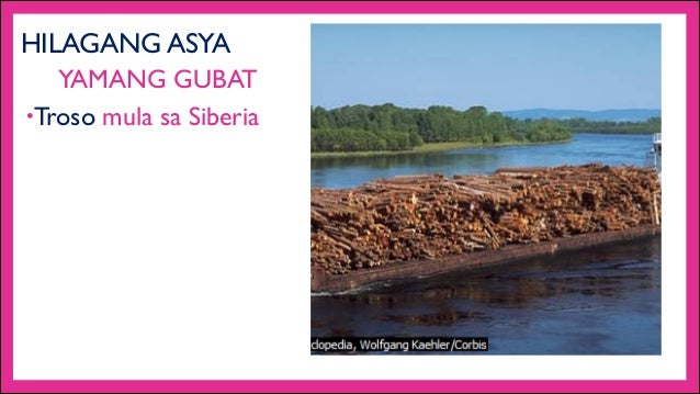 Yamang Gubat Ng Hilagang Asya Yamang Gubat Ng Hilagang Asya