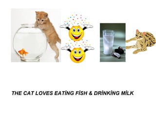 THE CAT LOVES EATİNG FİSH & DRİNKİNG MİLK
 