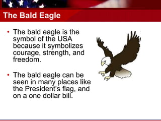 The Bald Eagle
• The bald eagle is the
symbol of the USA
because it symbolizes
courage, strength, and
freedom.
• The bald eagle can be
seen in many places like
the President’s flag, and
on a one dollar bill.
 