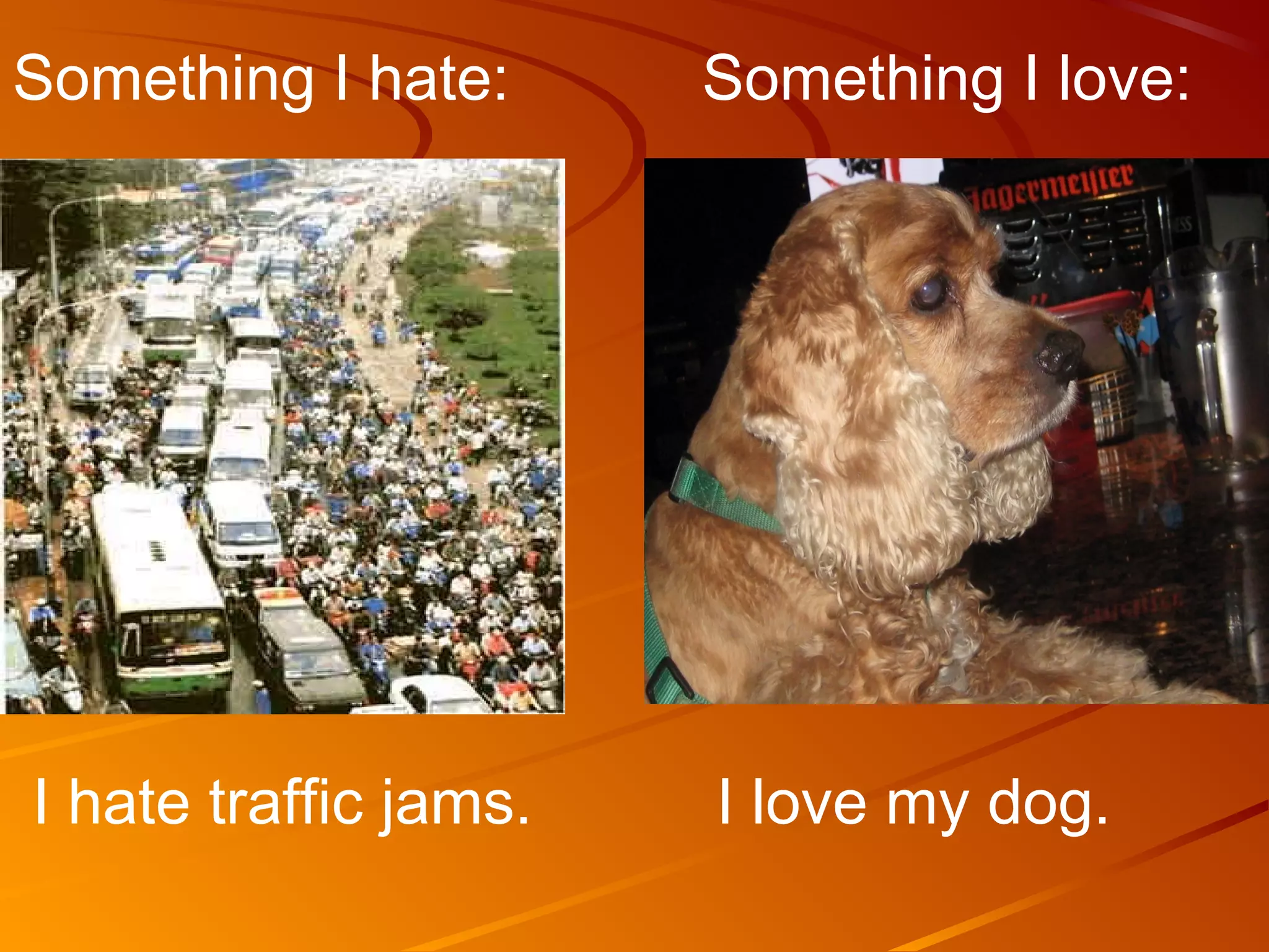Something I hate:      Something I love:




I hate traffic jams.   I love my dog.
 