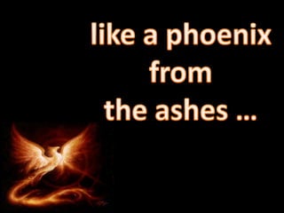 like a phoenix from  the ashes … 