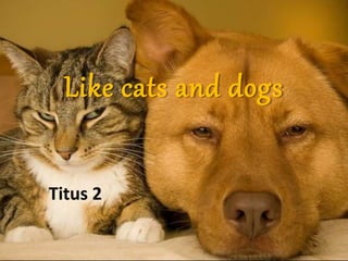 Like cats and dogs
Titus 2
 