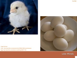 Image Sources: Chick:: http://www.flickr.com/photos/cliche/3389201880/in/photostream/ Eggs: http://www.flickr.com/photos/cursedthing/448971179/ 